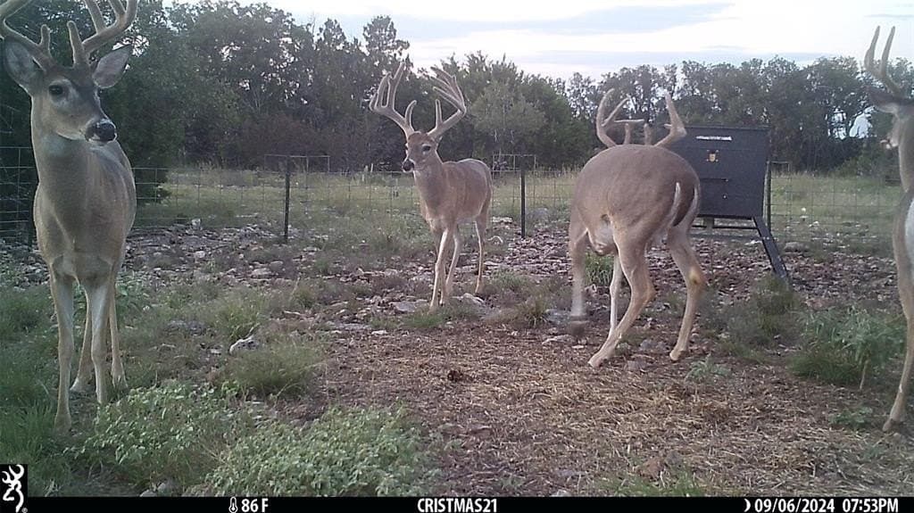 107.23 acres in Edwards County gallery image 2