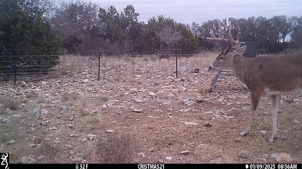 107.23 acres in Edwards County gallery image 3