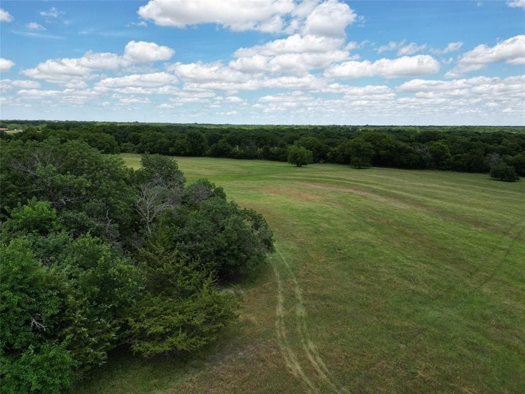 16.77 acres in Grayson County gallery image 3