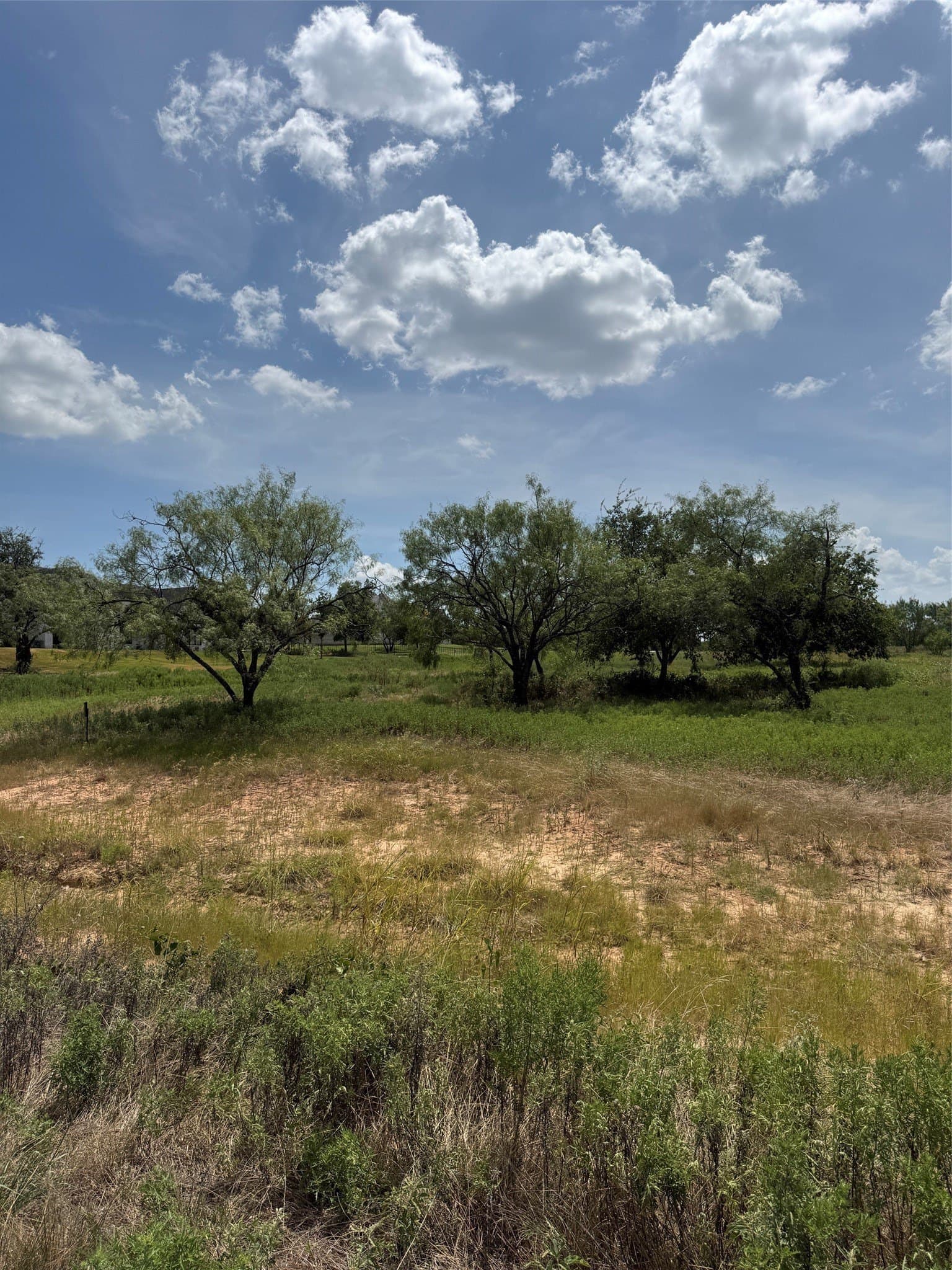 2.16 acres in Parker County gallery image 3