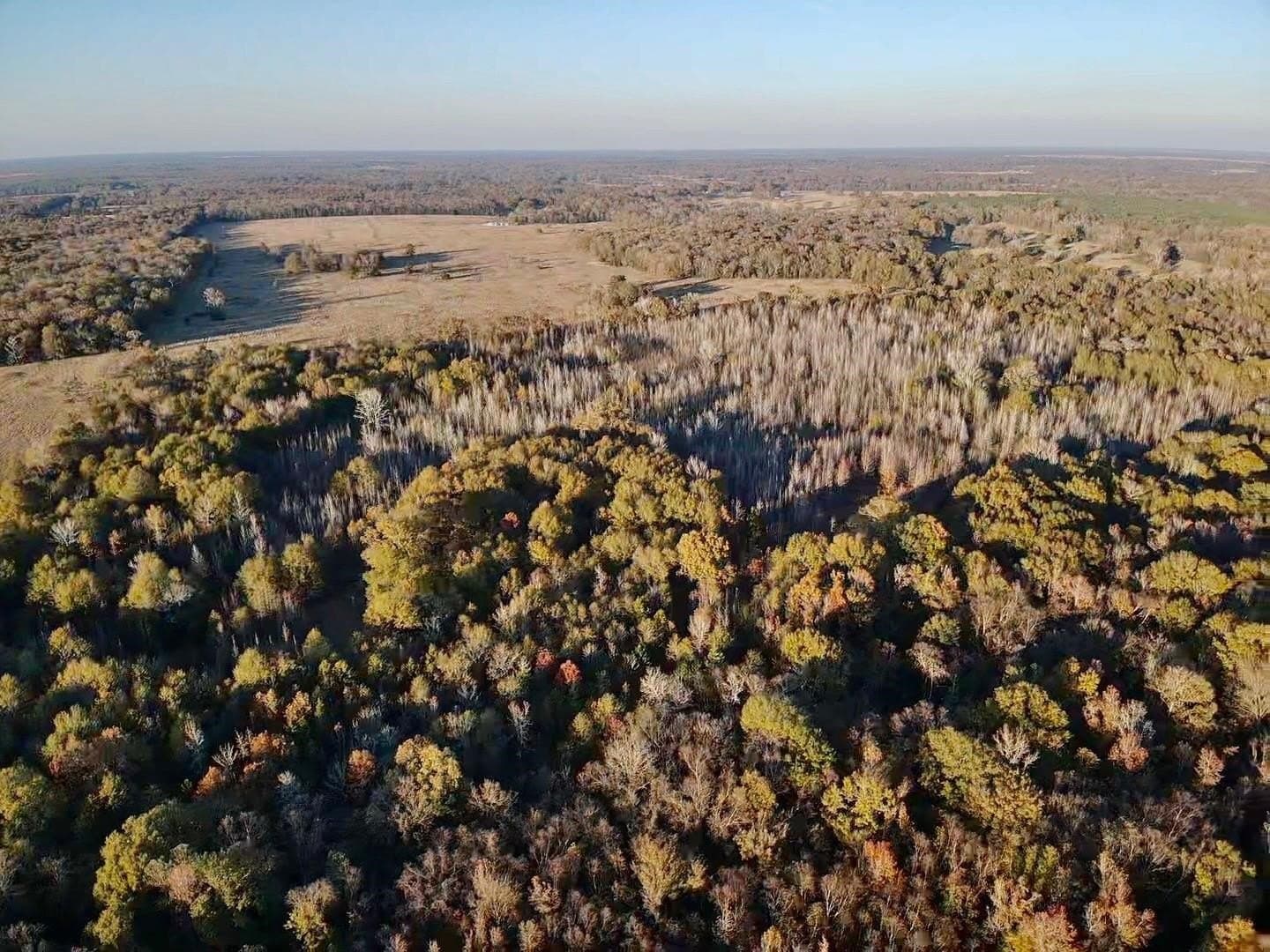 65 acres in Red River (TX) County - photo 18