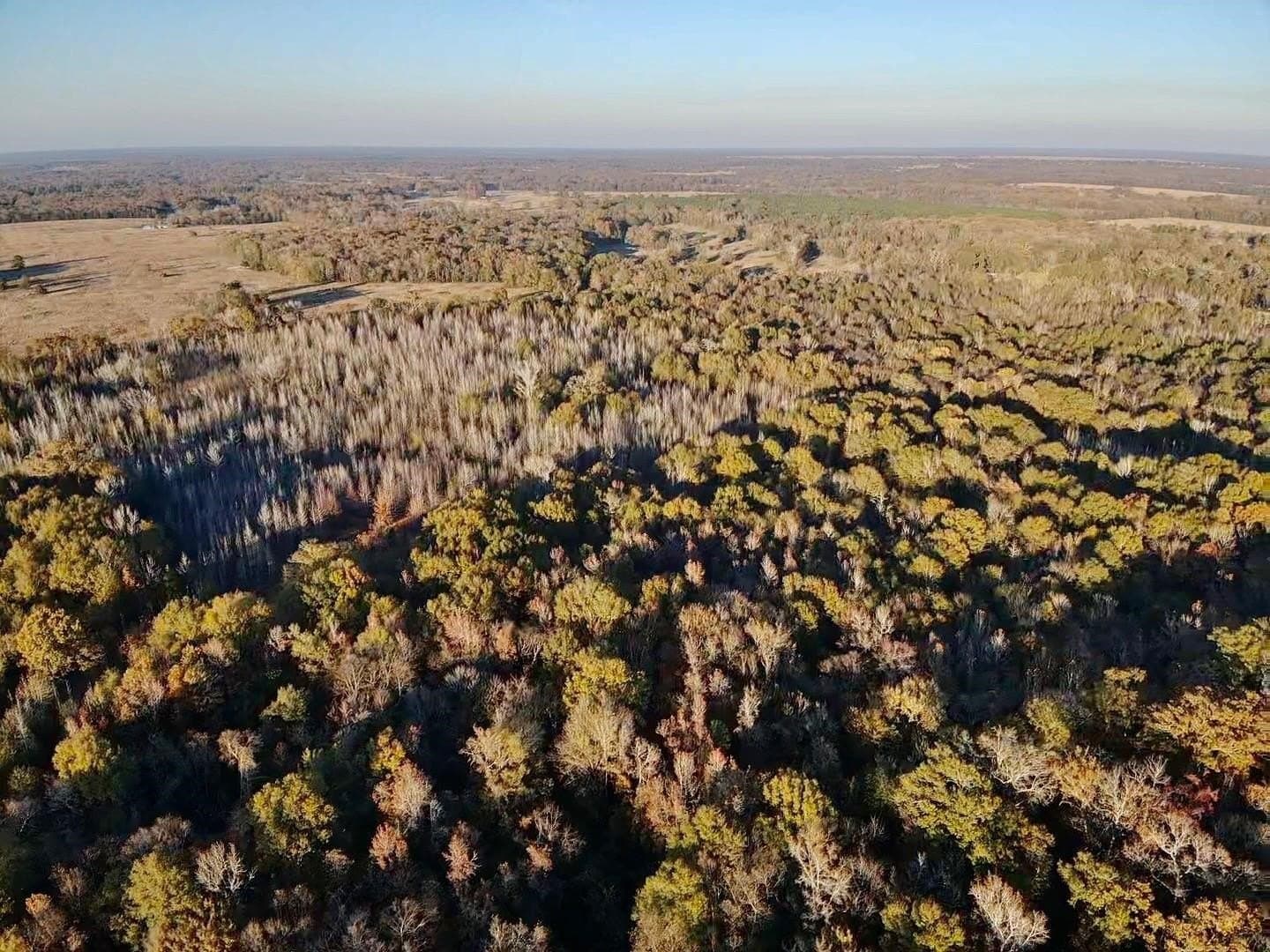 65 acres in Red River (TX) County - photo 19