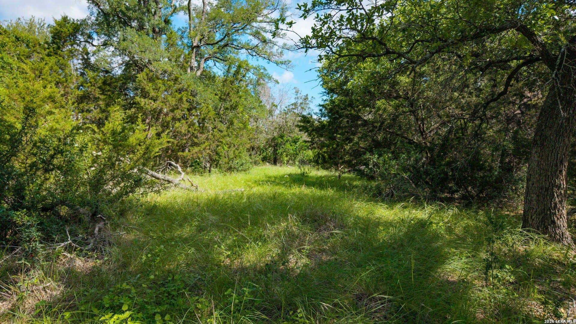 1.34 acres in Comal County - photo 7