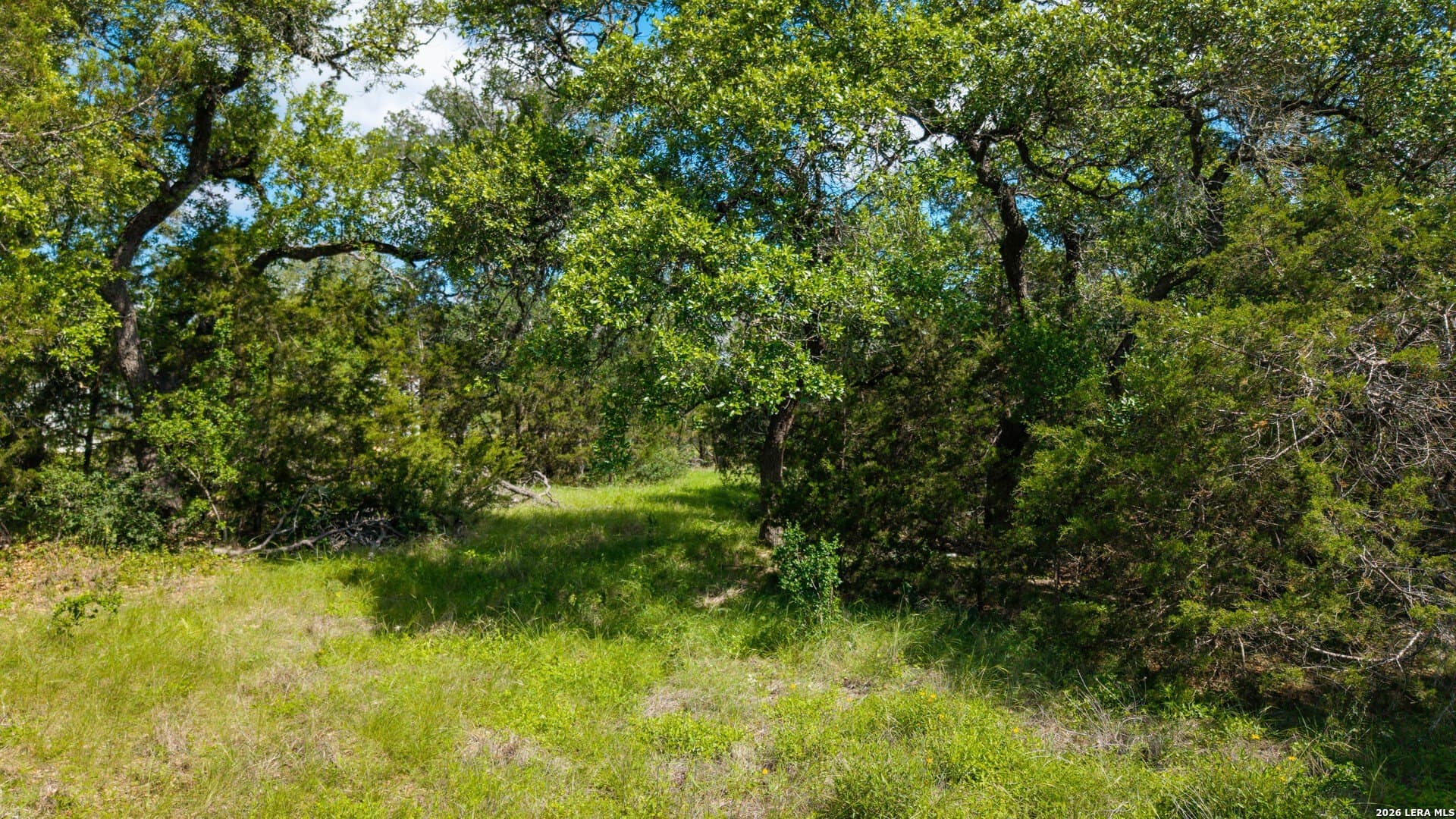1.34 acres in Comal County - photo 6