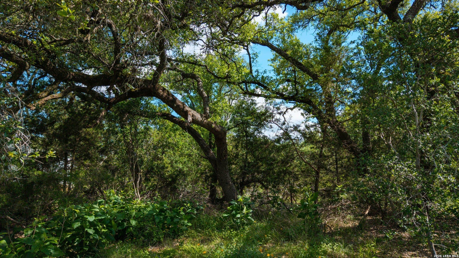 1.34 acres in Comal County featured view