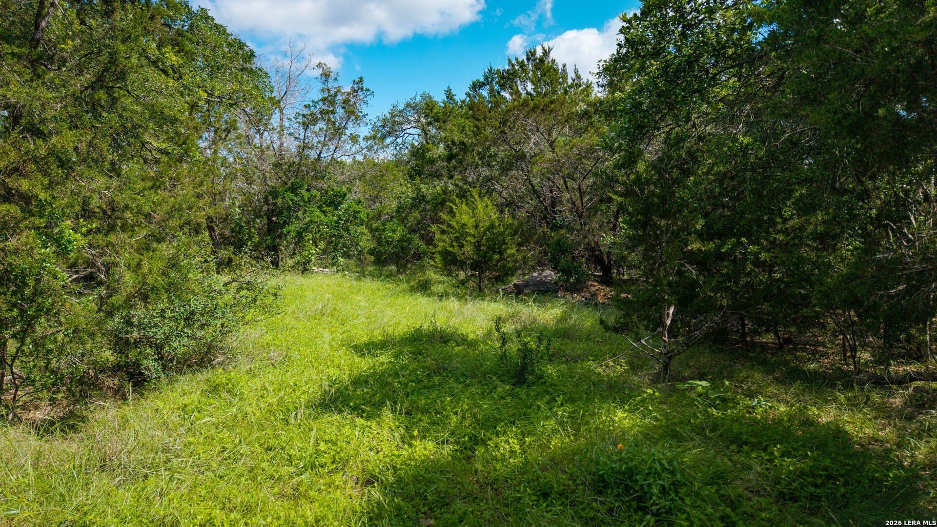 1.34 acres in Comal County - photo 8