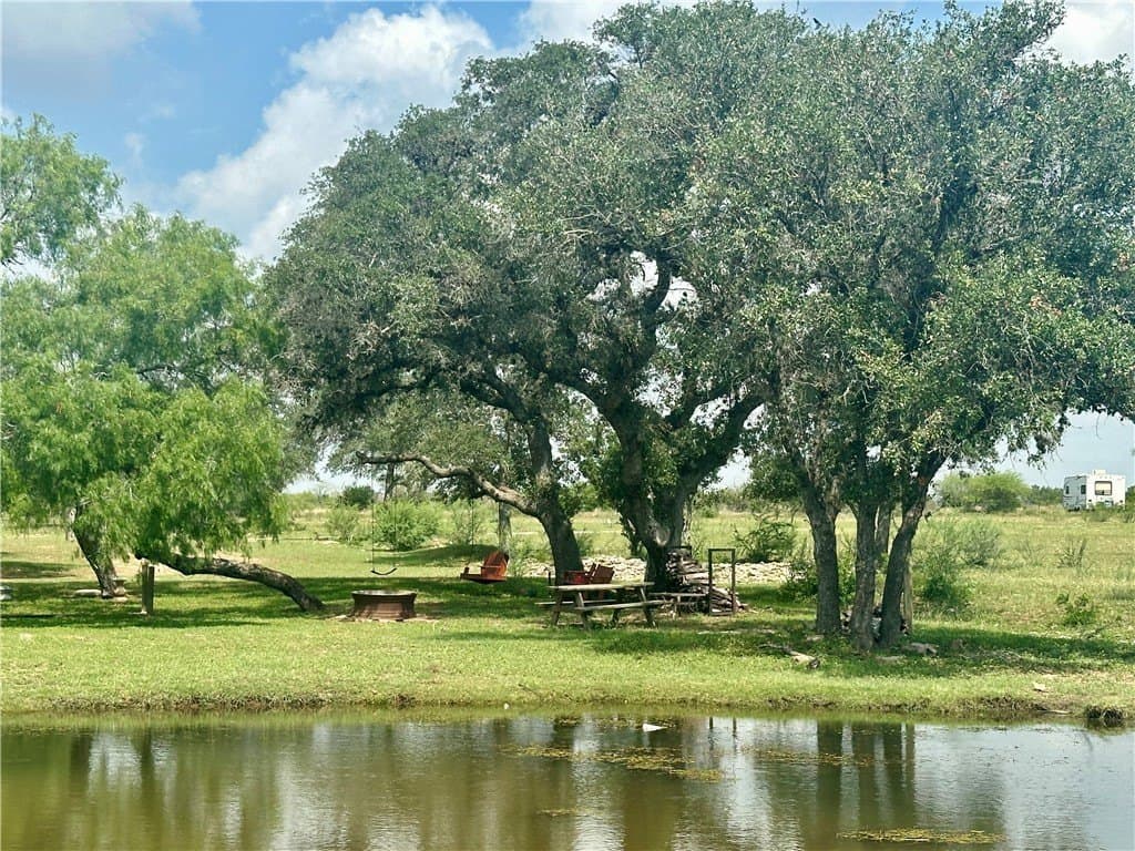 10.65 acres in Bee County - photo 6