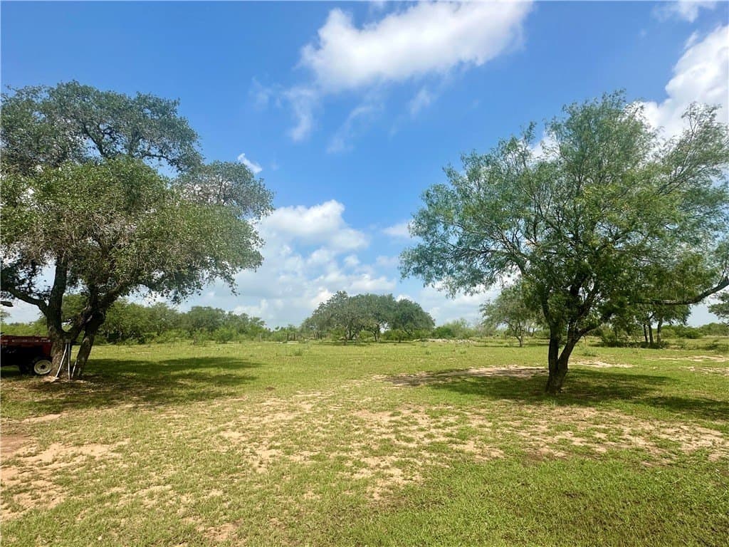 10.65 acres in Bee County - photo 21