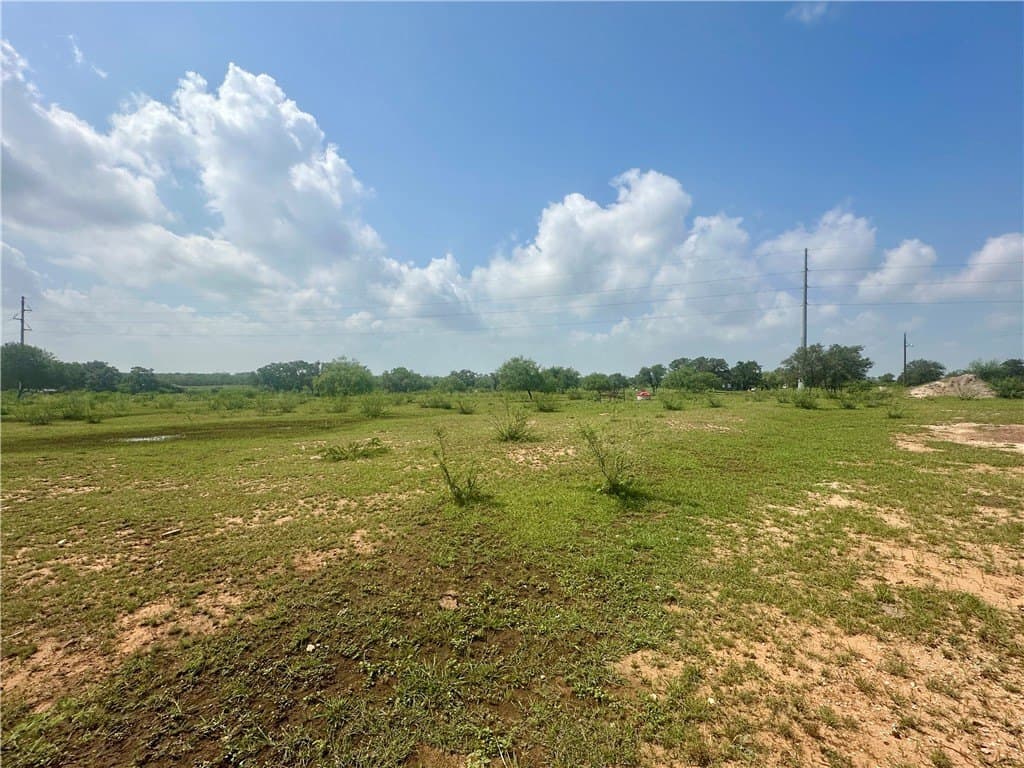 10.65 acres in Bee County - photo 18