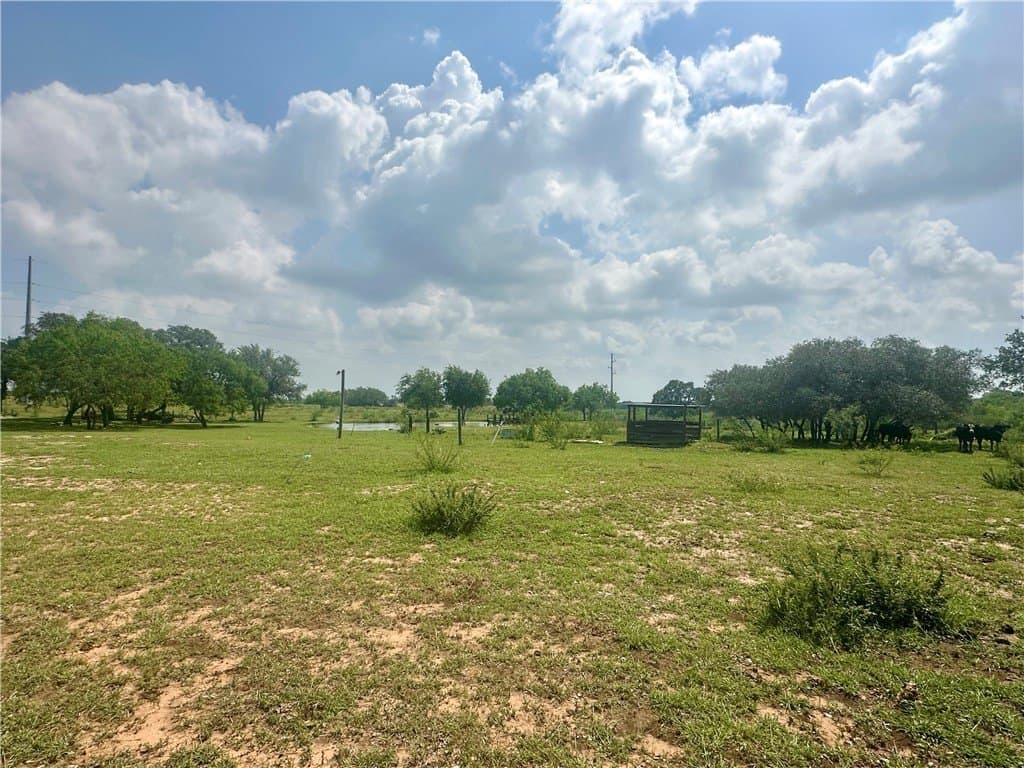10.65 acres in Bee County - photo 17