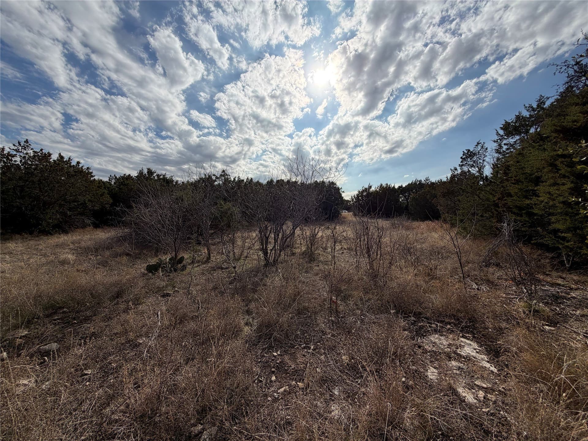 2.01 acres in Palo Pinto County - photo 9