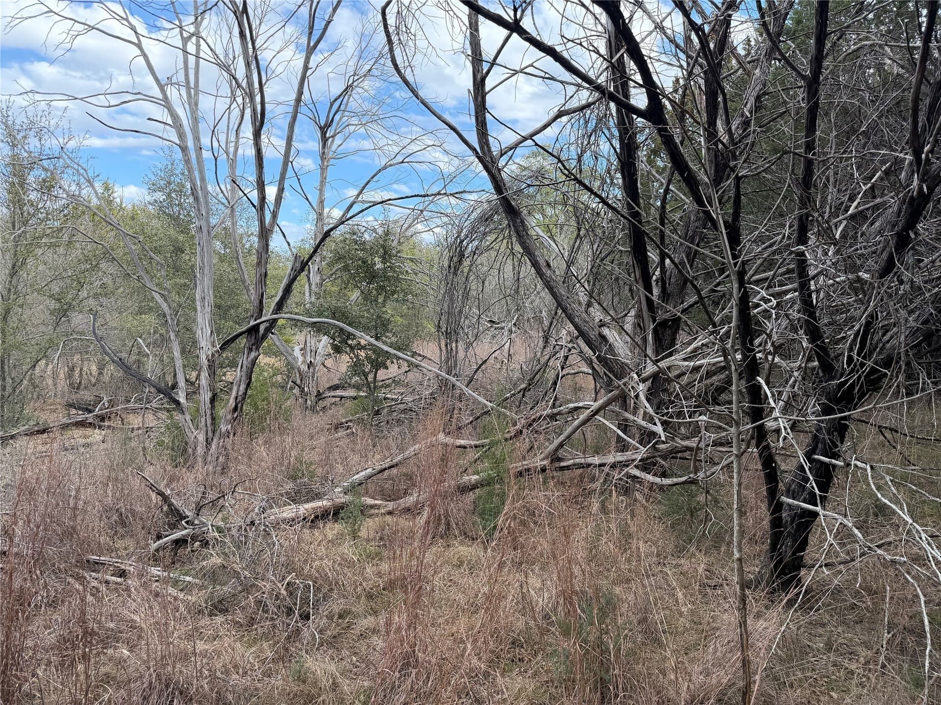 2.01 acres in Palo Pinto County - photo 5