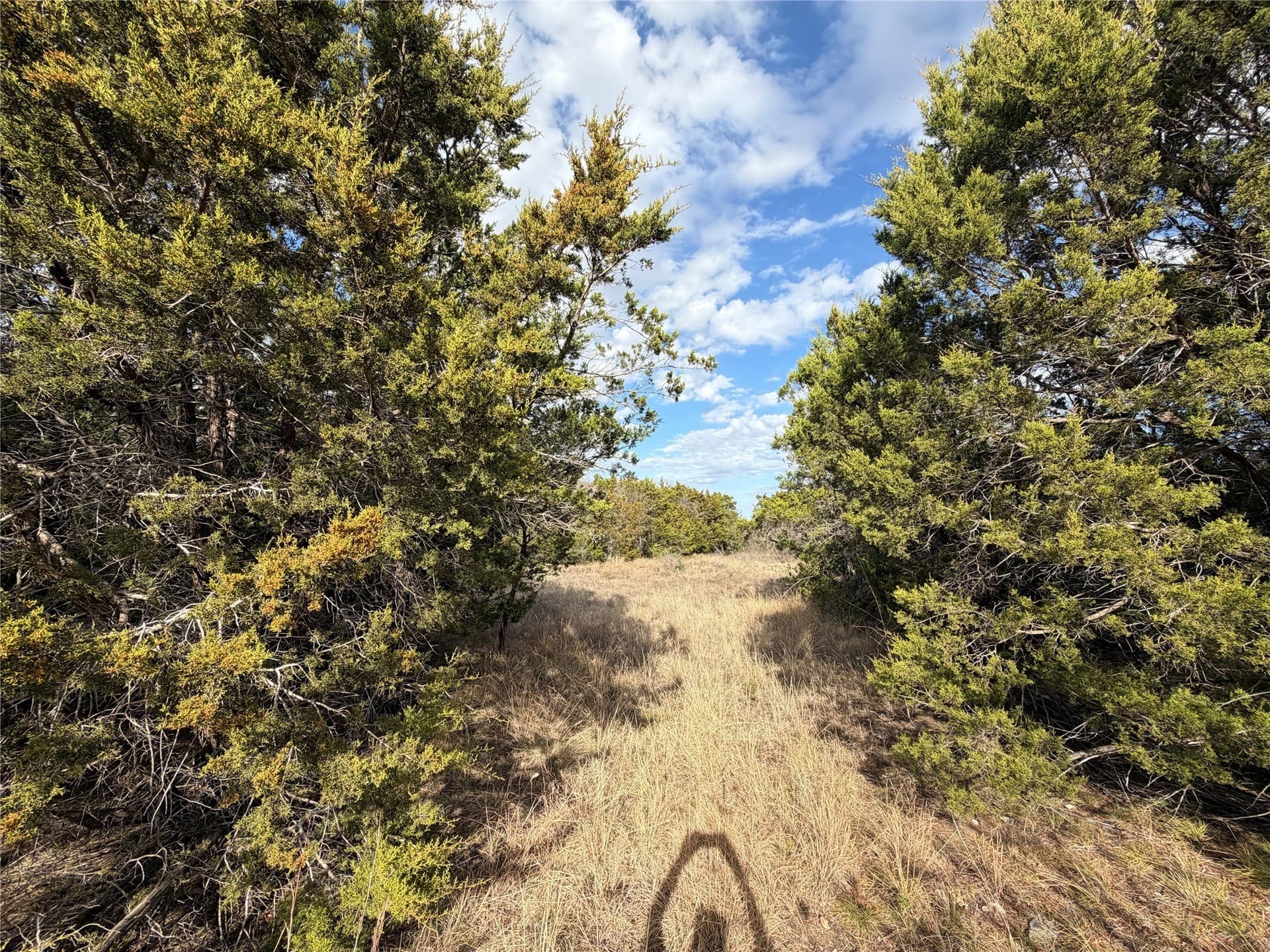 2.01 acres in Palo Pinto County - photo 11