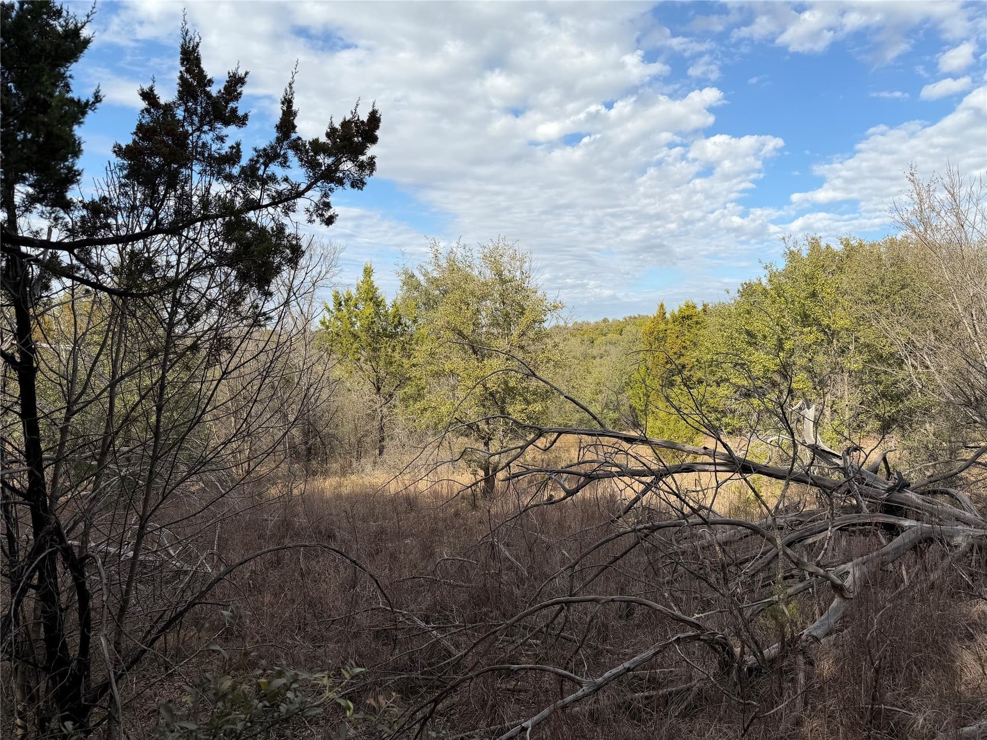 2.01 acres in Palo Pinto County - photo 7