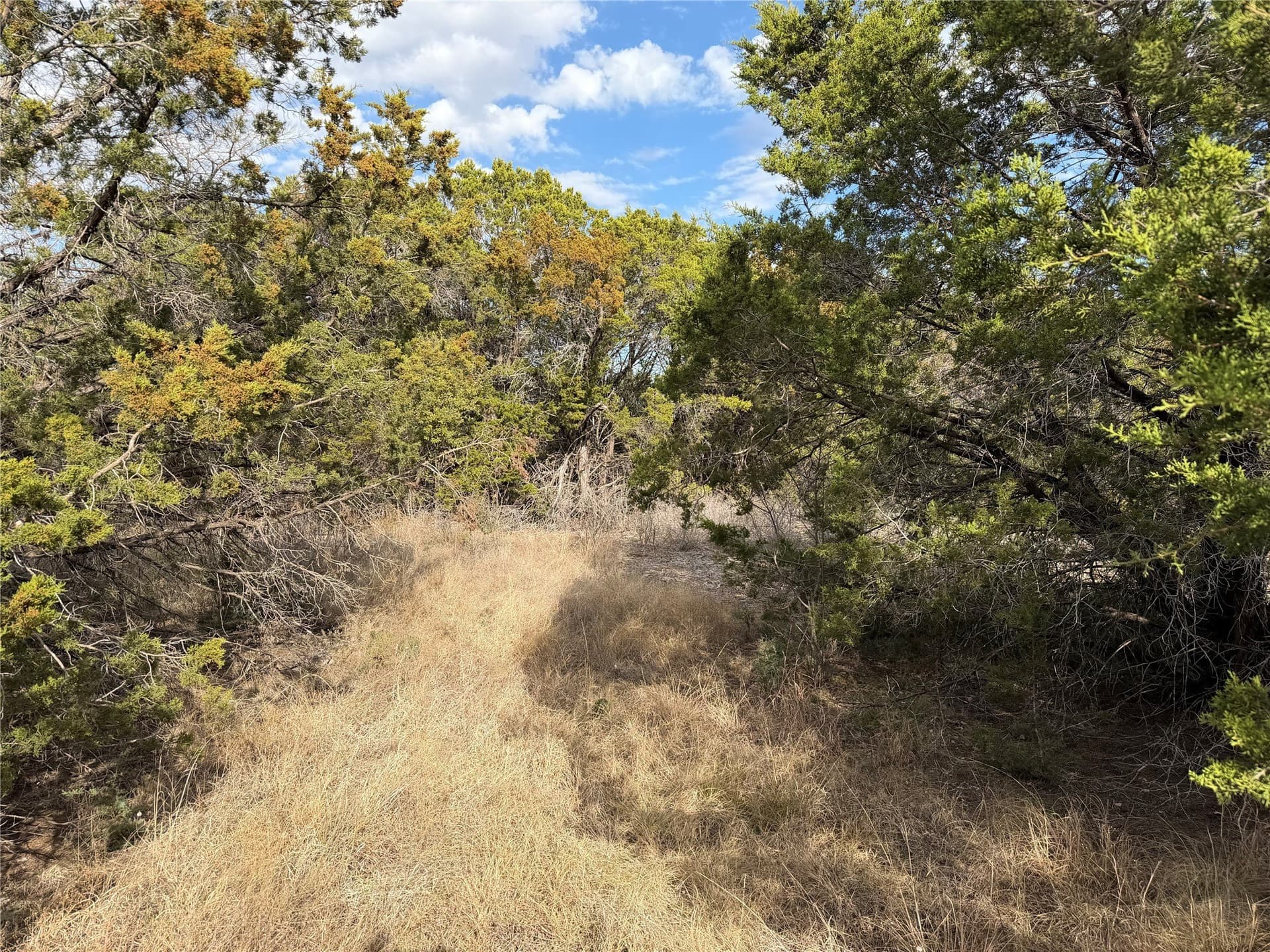 2.01 acres in Palo Pinto County