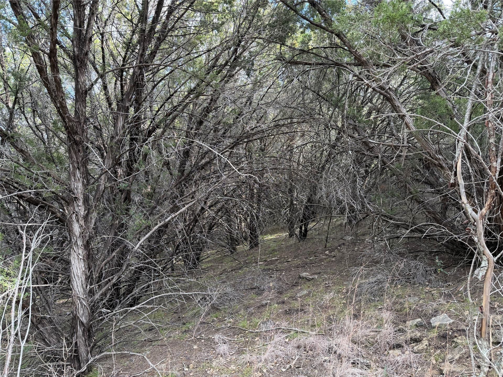 2.01 acres in Palo Pinto County - photo 3