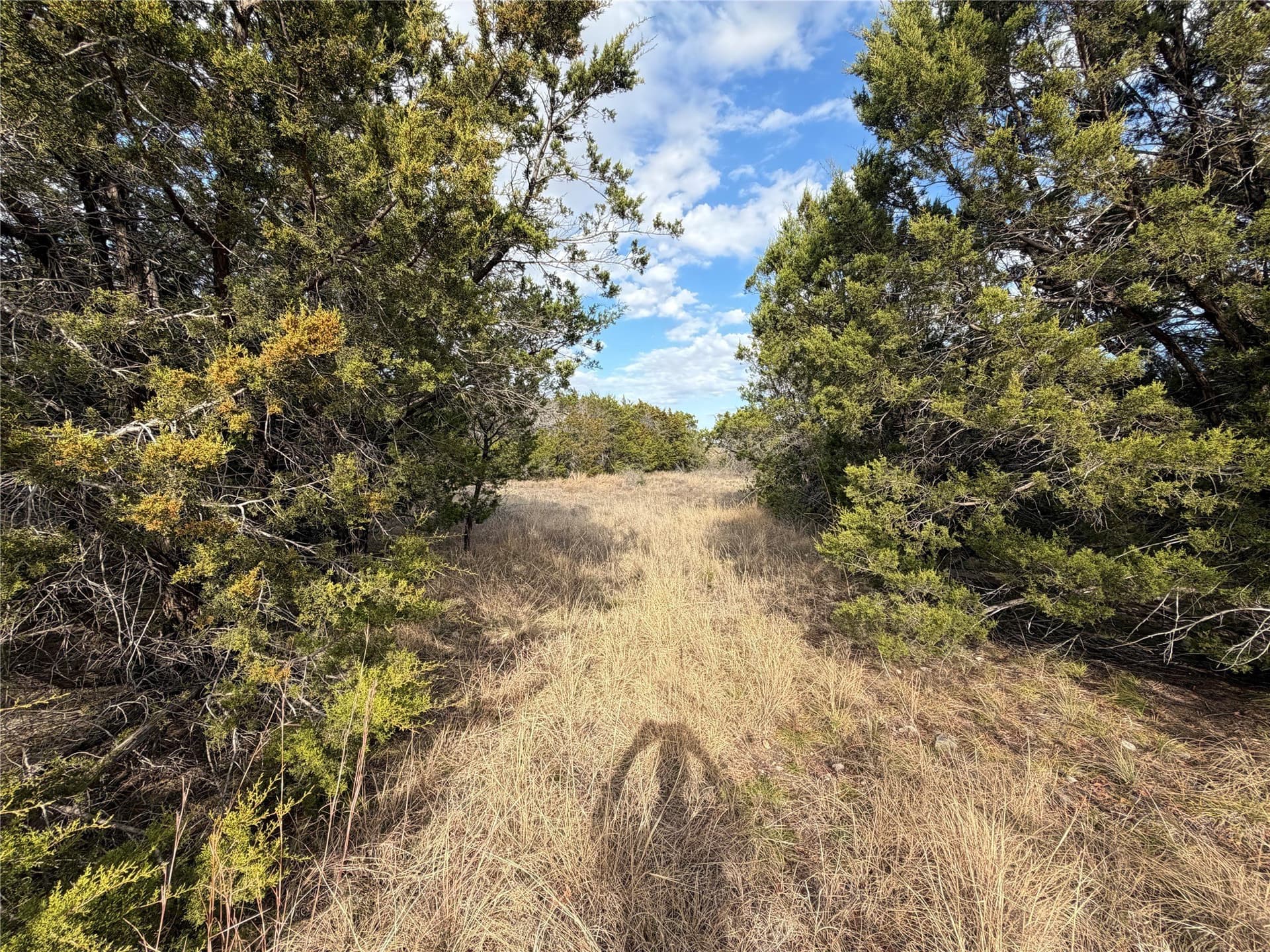 2.01 acres in Palo Pinto County - photo 10