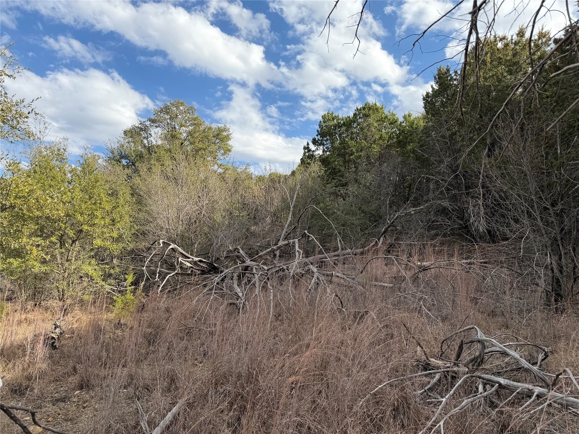 2.01 acres in Palo Pinto County - photo 6