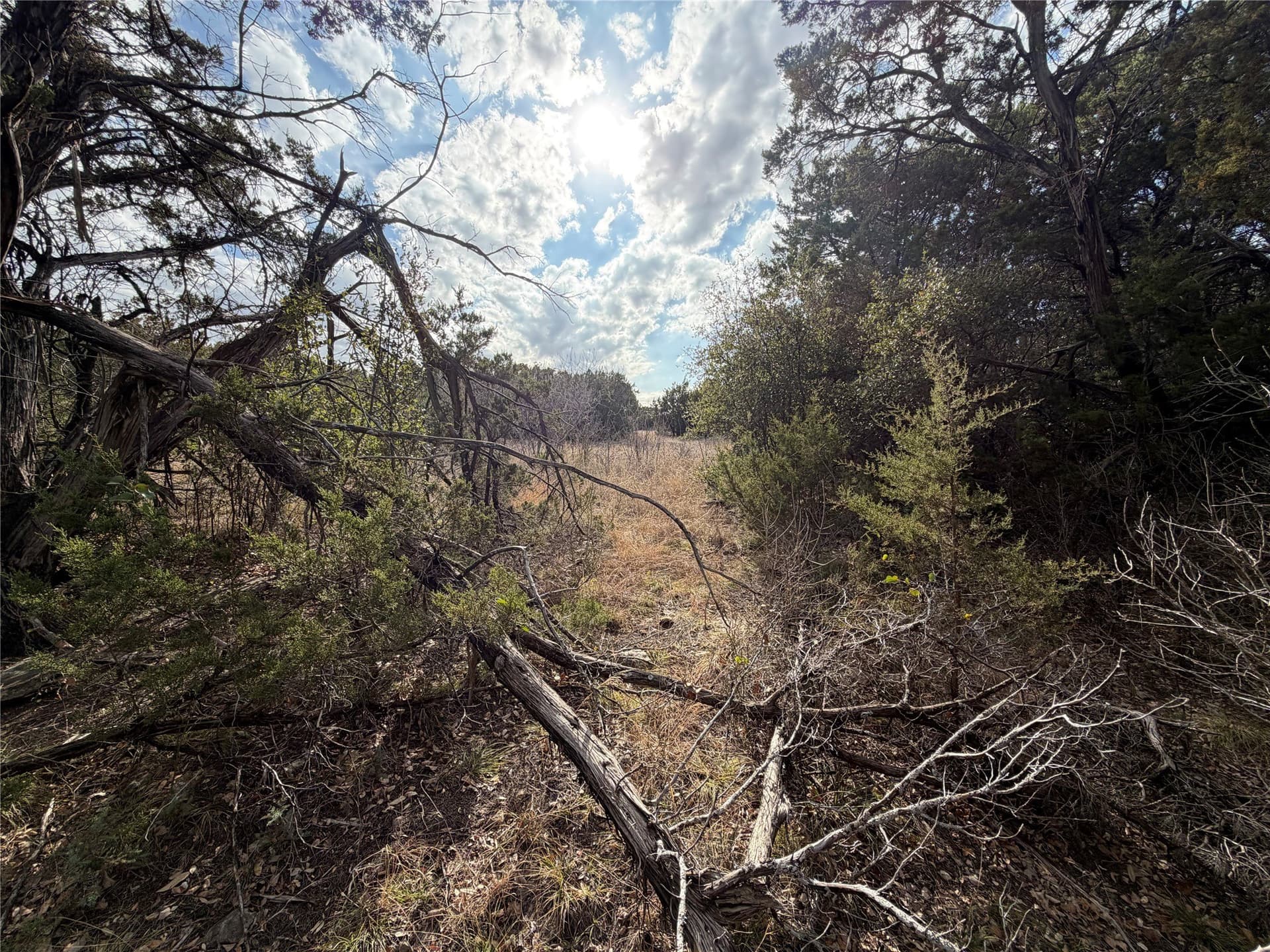 2.01 acres in Palo Pinto County - photo 8