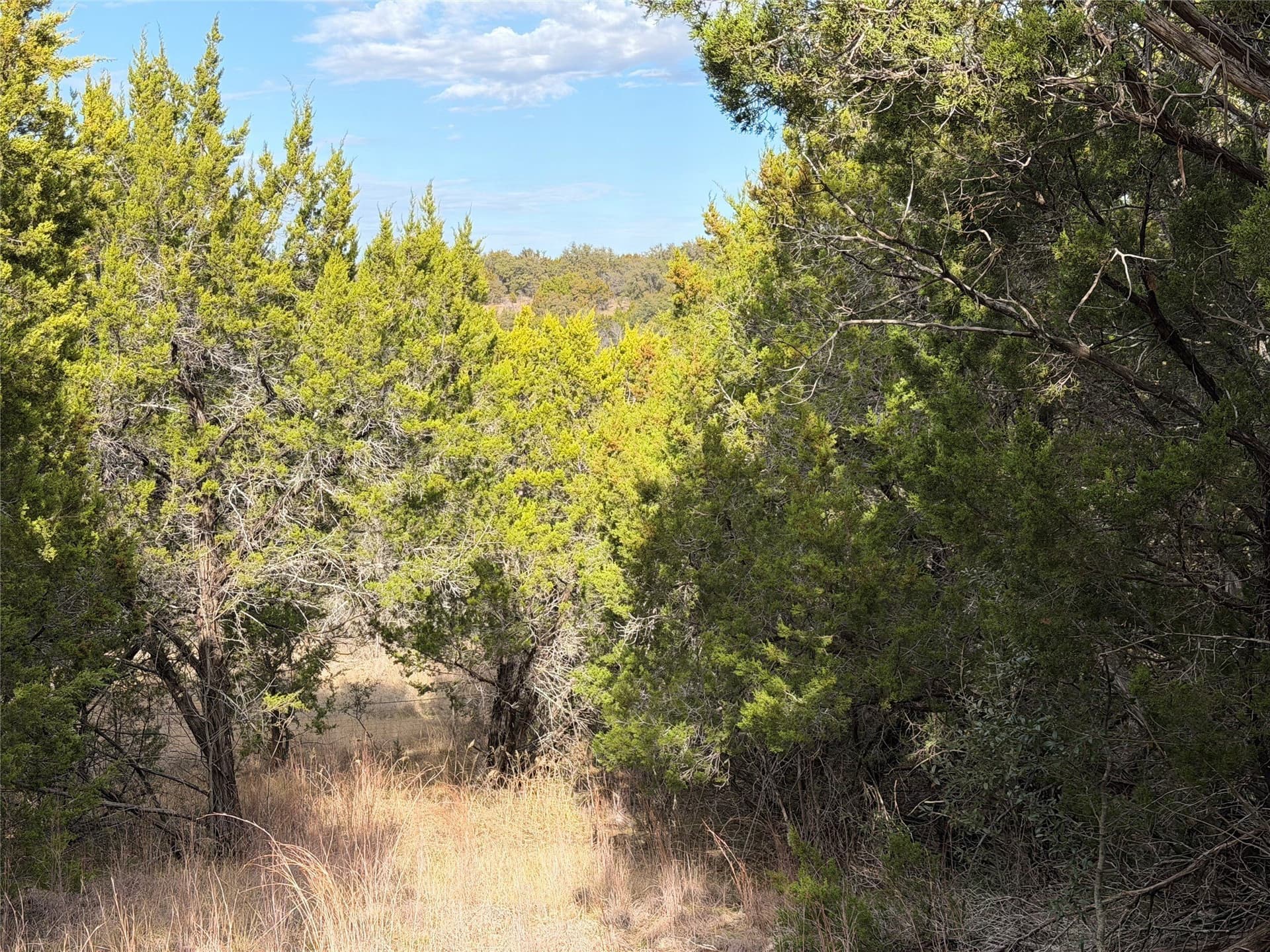 2.01 acres in Palo Pinto County - photo 2