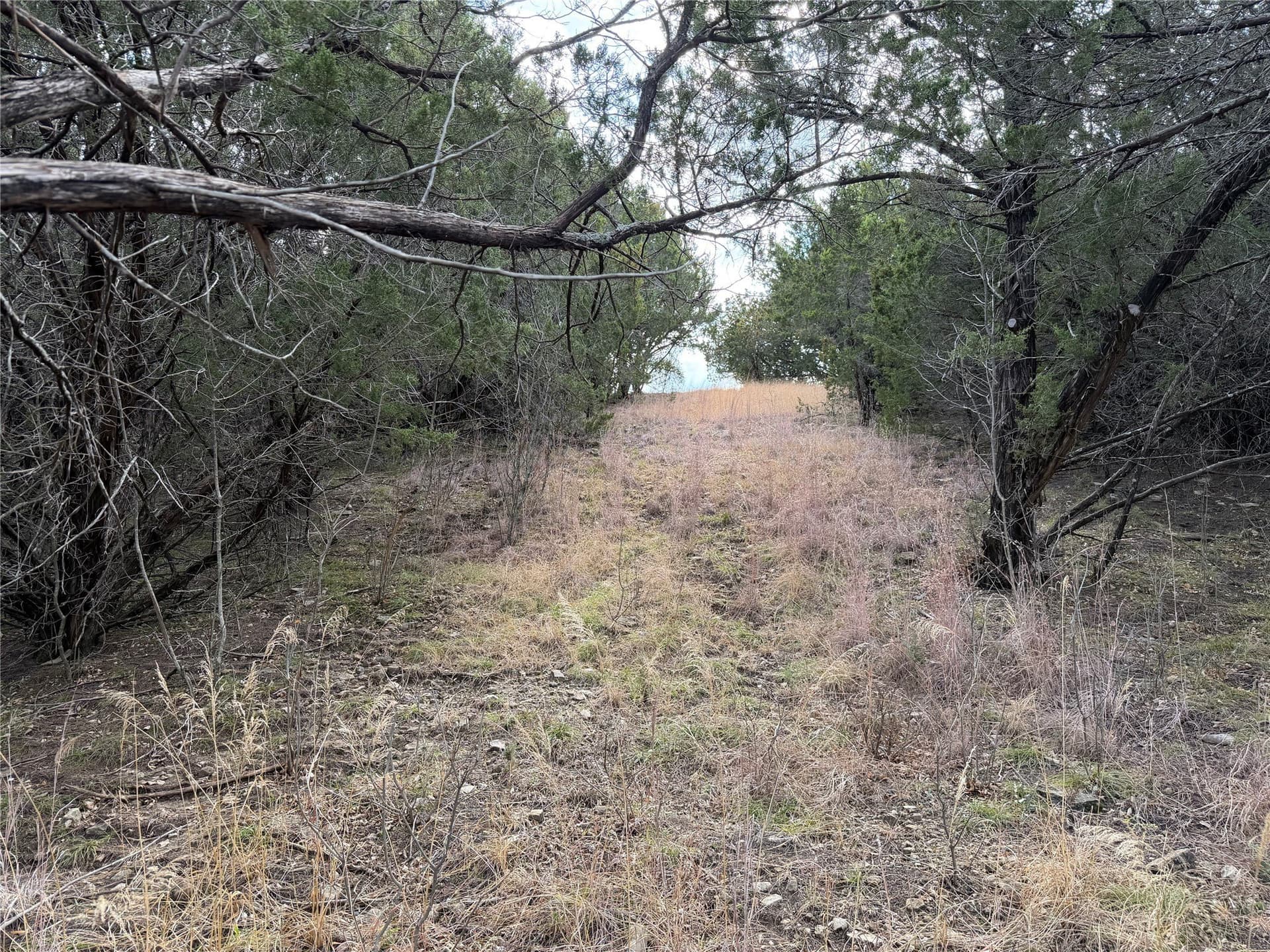 2.01 acres in Palo Pinto County - photo 4