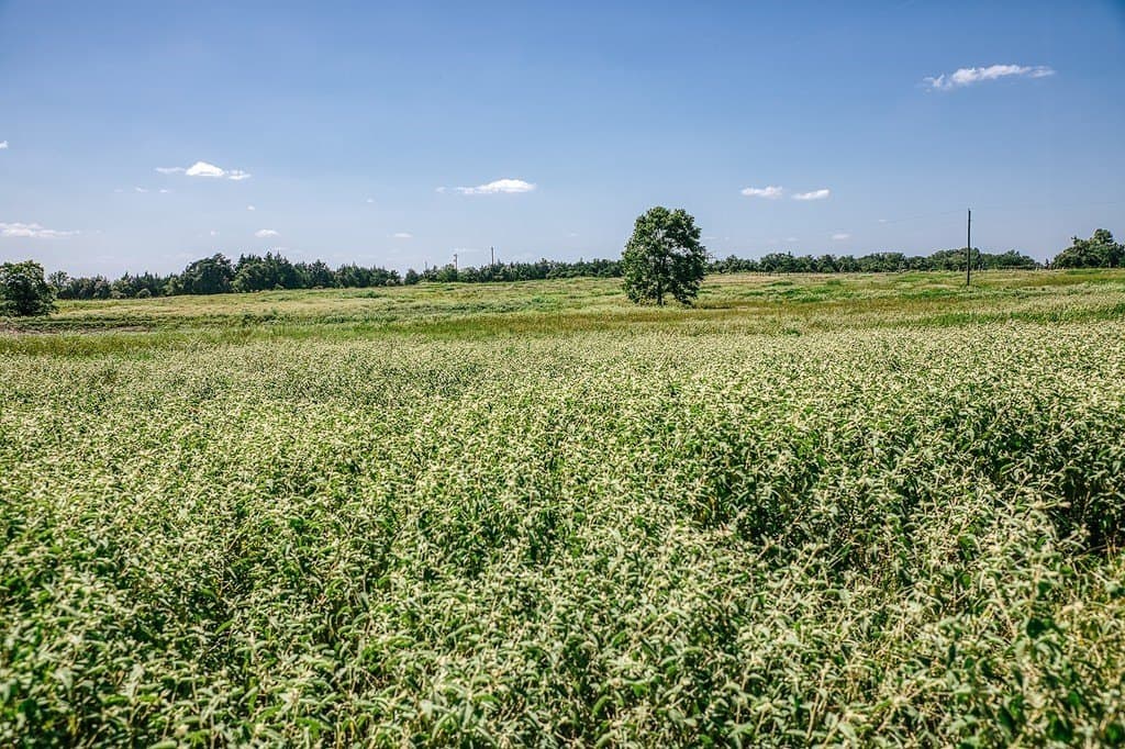 10.83 acres in Washington County - photo 10