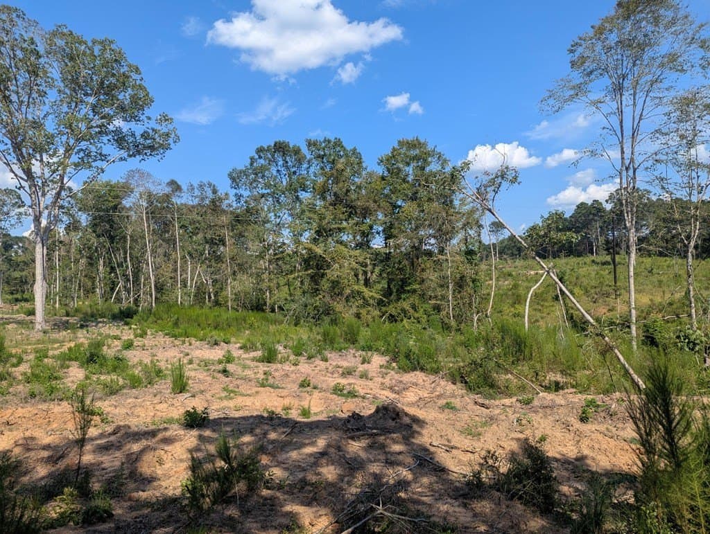 104.54 acres in Texas County gallery image 3