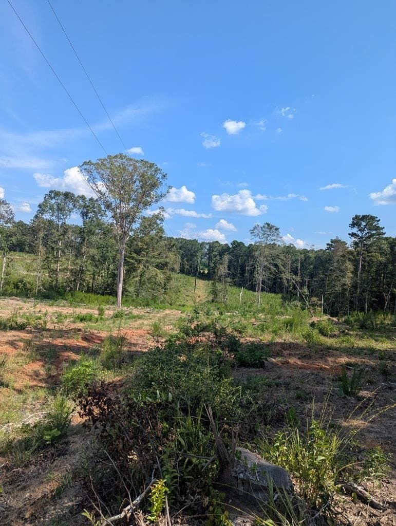 104.54 acres in Texas County