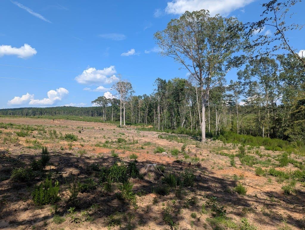 104.54 acres in Texas County gallery image 2