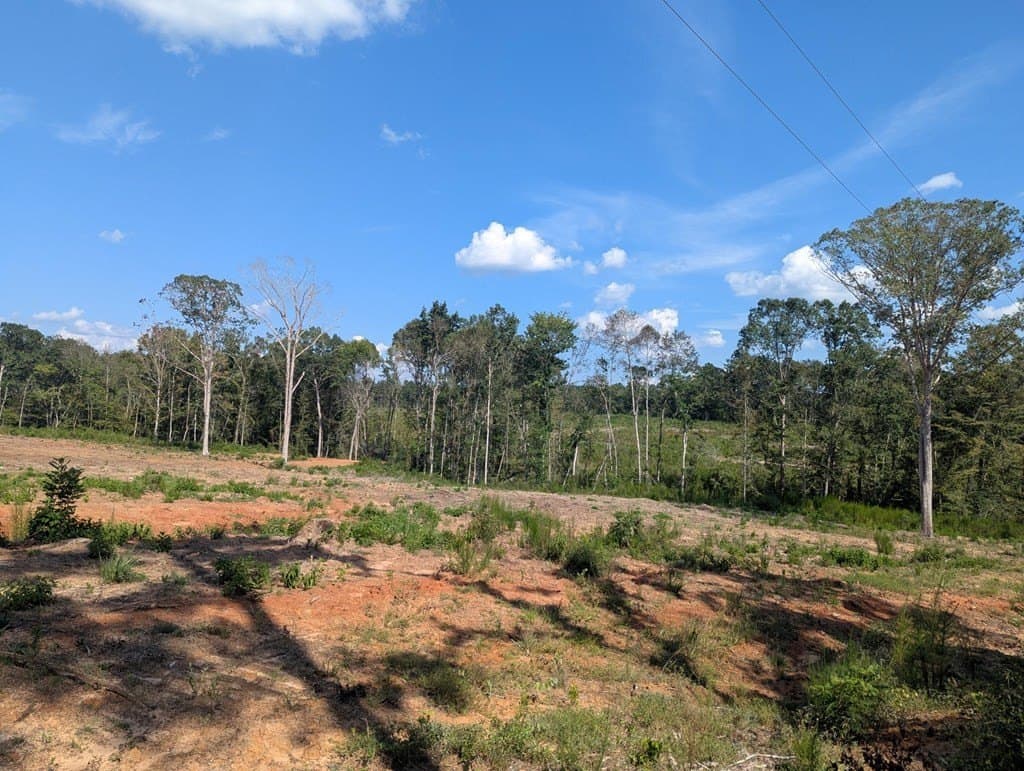 104.54 acres in Texas County featured view