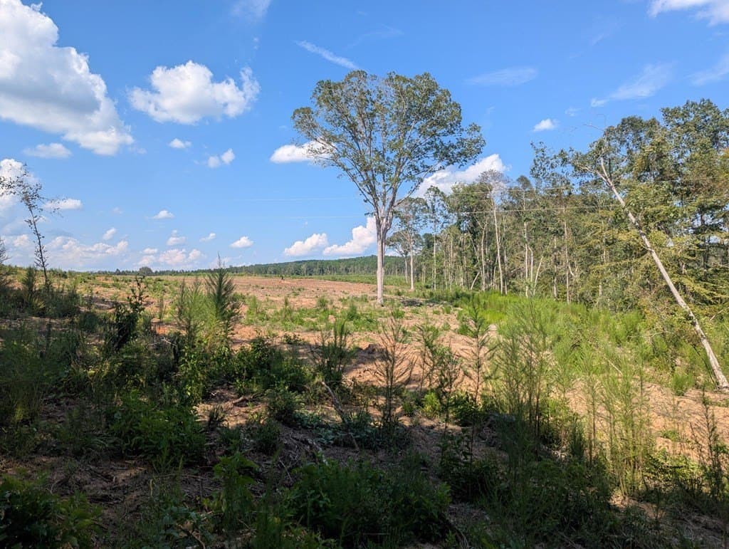 104.54 acres in Texas County gallery image 4