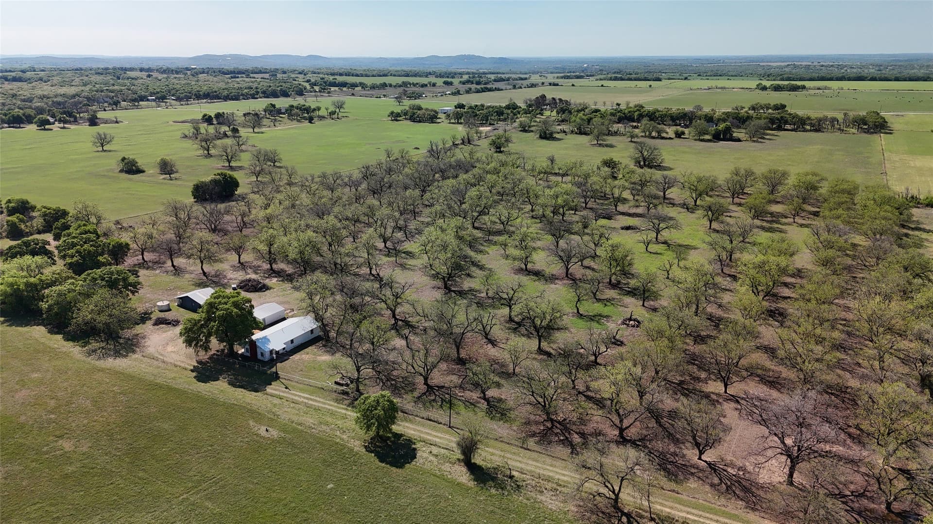 20 acres in Young County gallery image 3