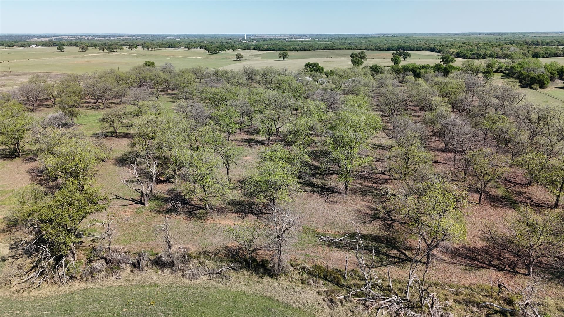 20 acres in Young County gallery image 4