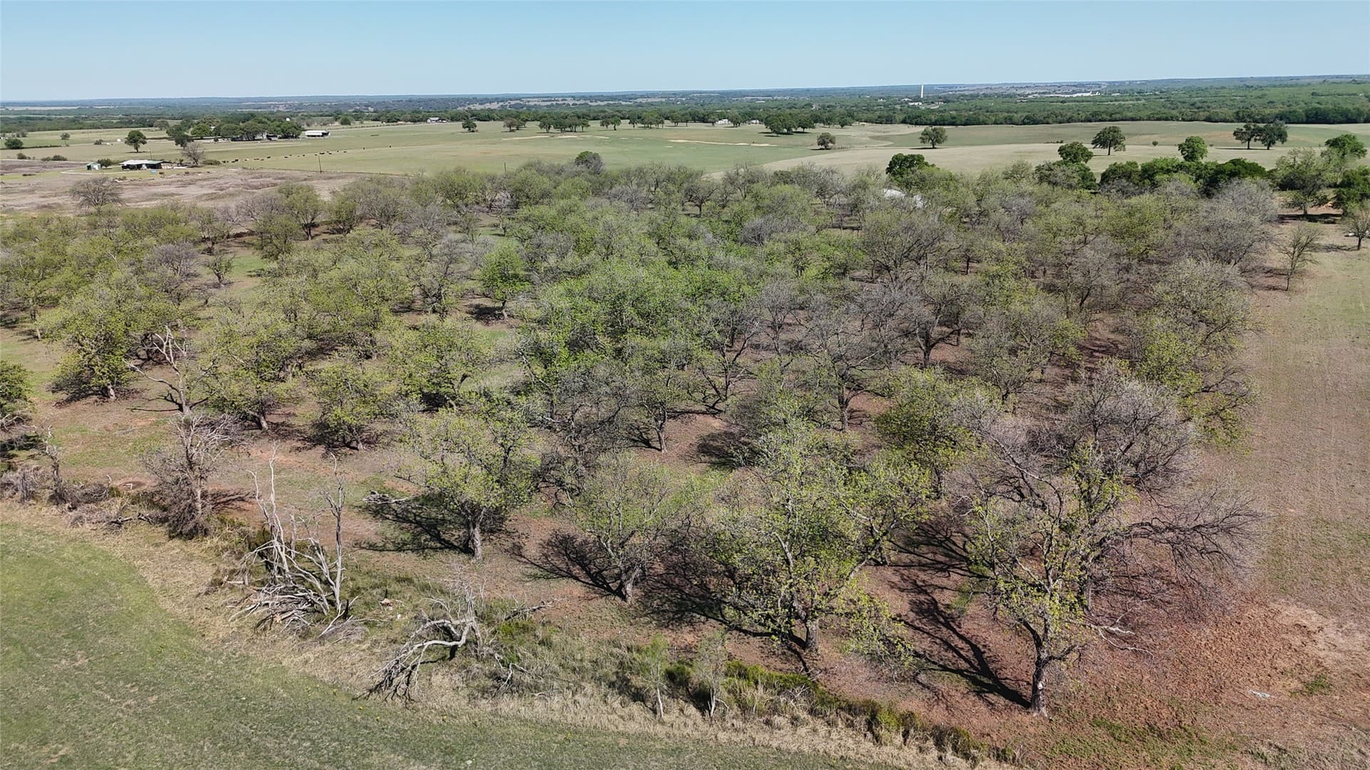 20 acres in Young County featured view