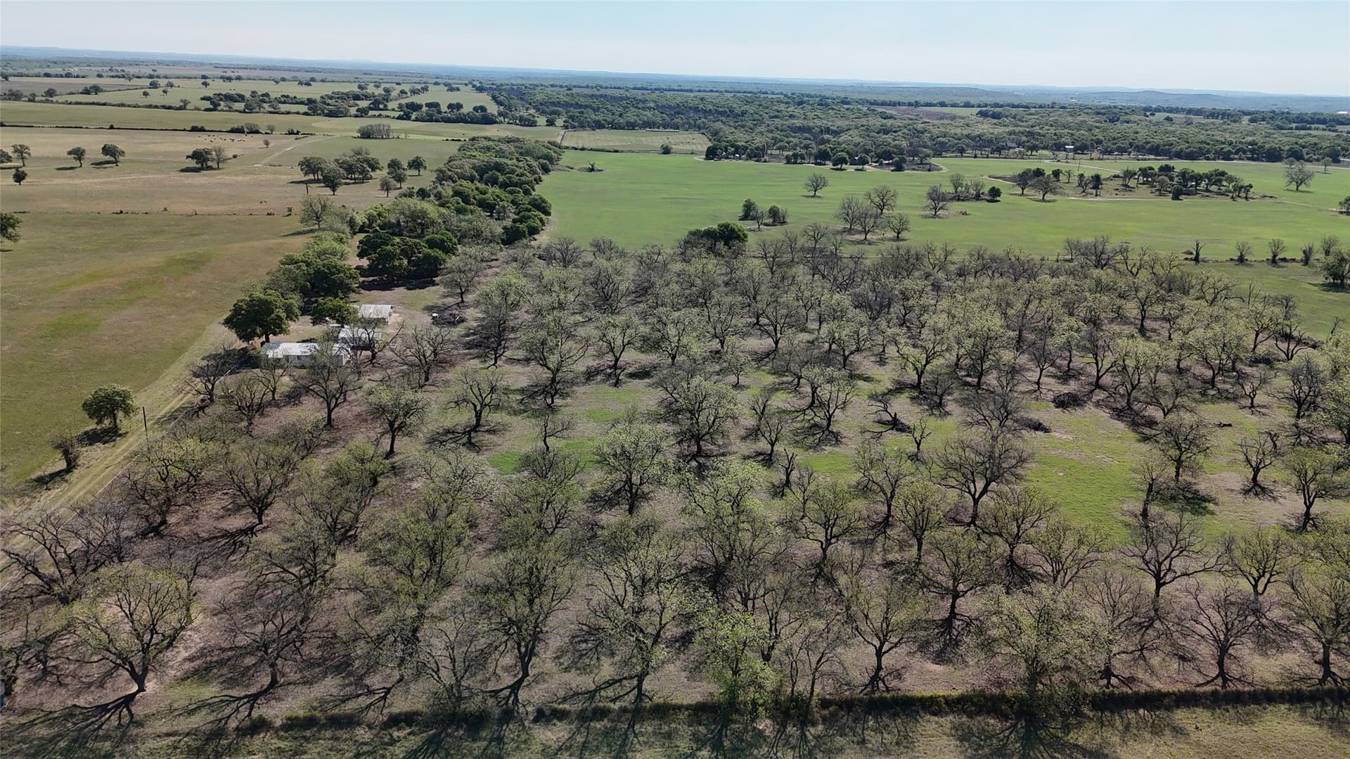 20 acres in Young County - photo 6