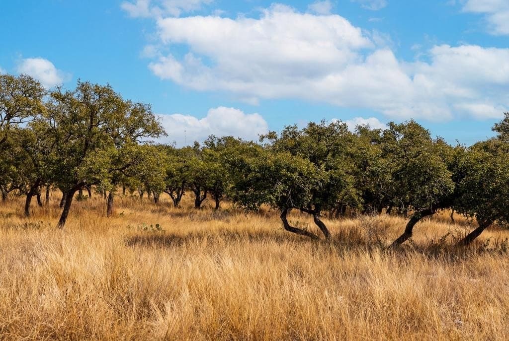 8.63 acres in Gillespie County