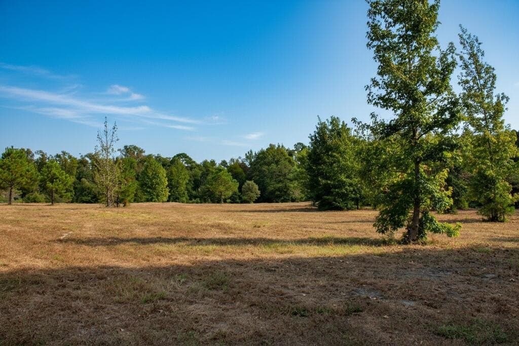 11.13 acres in Texas County - photo 6