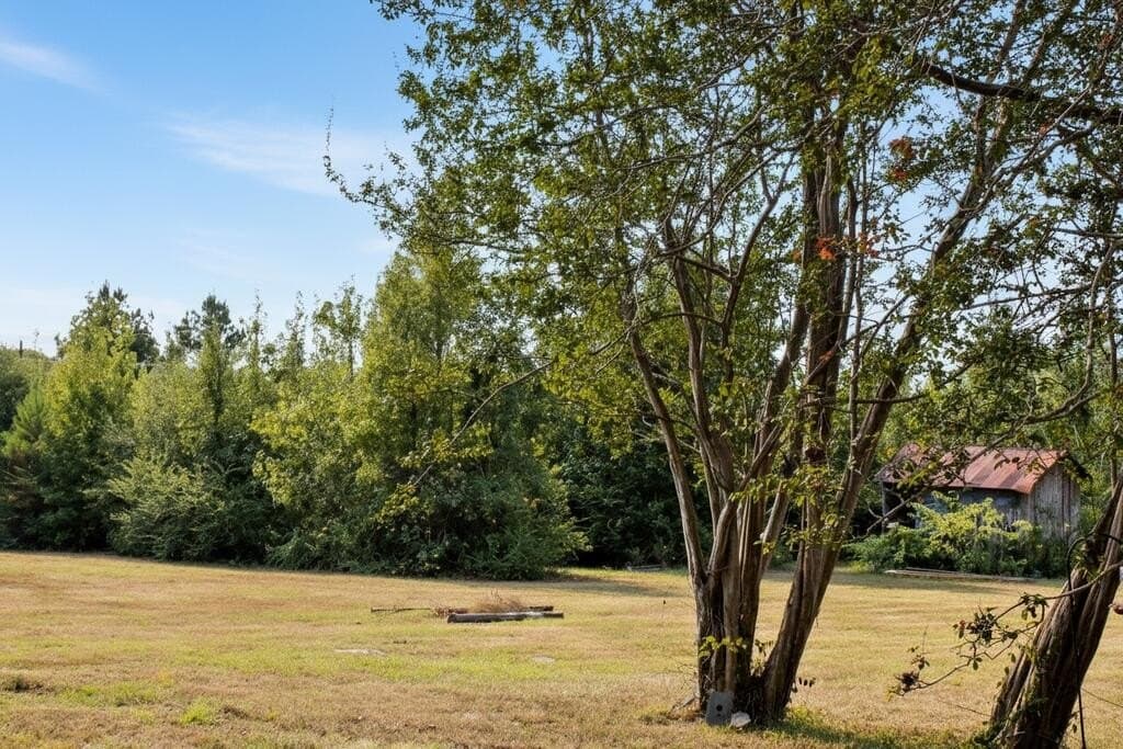 11.13 acres in Texas County - photo 5