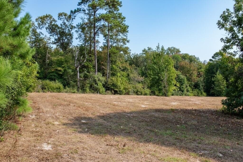 11.13 acres in Texas County - photo 12