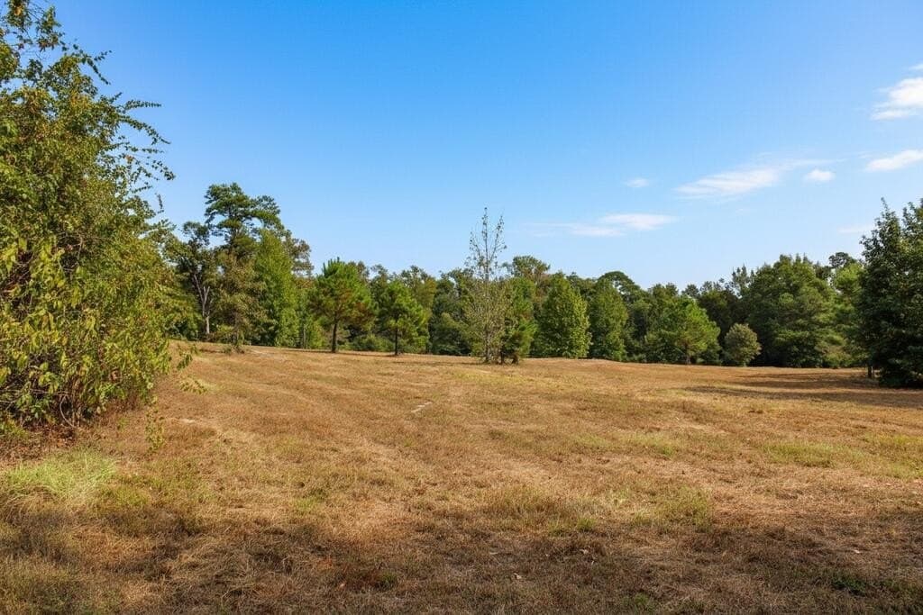 11.13 acres in Texas County - photo 7