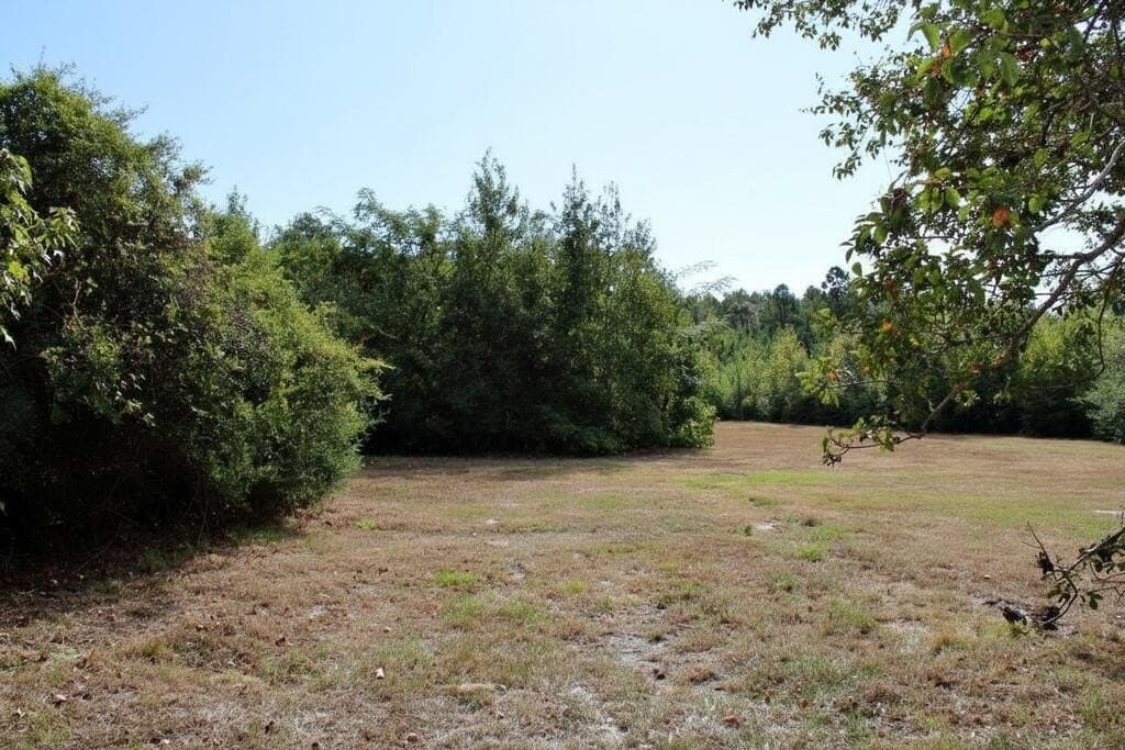 11.13 acres in Texas County - photo 11