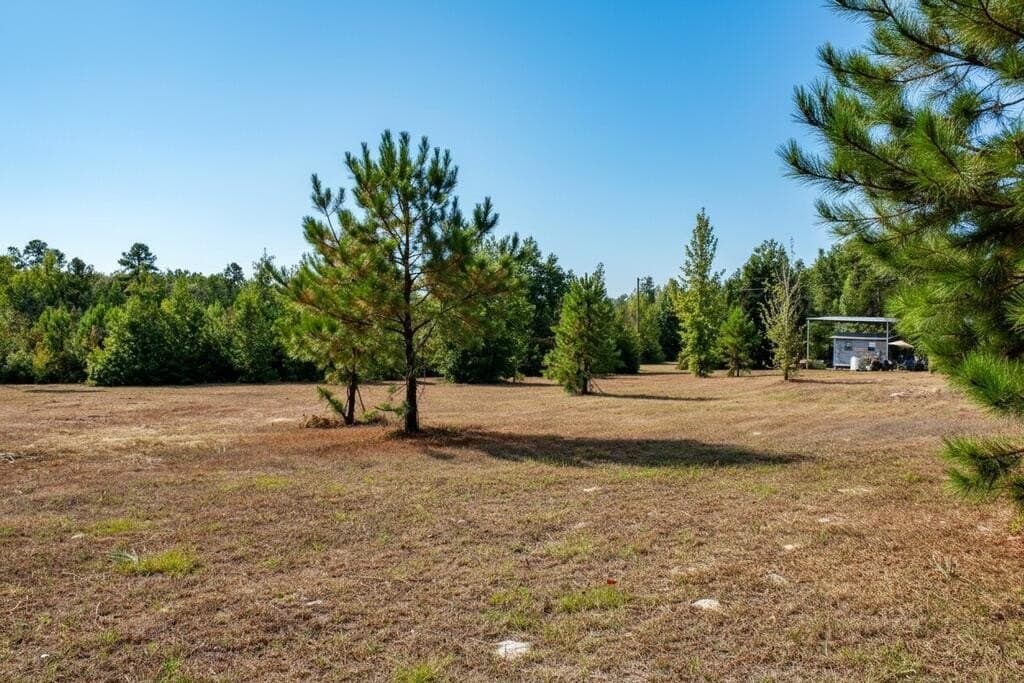 11.13 acres in Texas County - photo 10