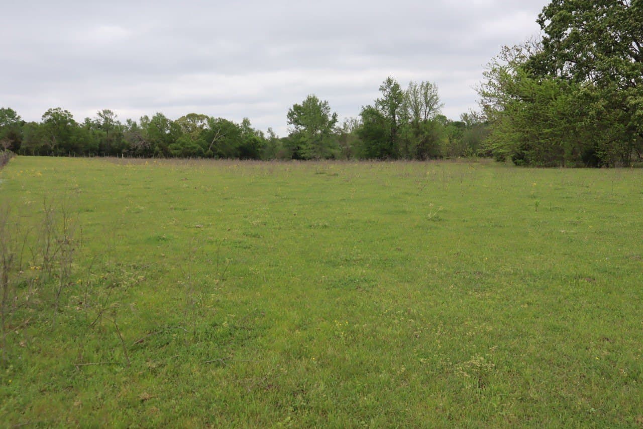 29.31 acres in Rains County - photo 21