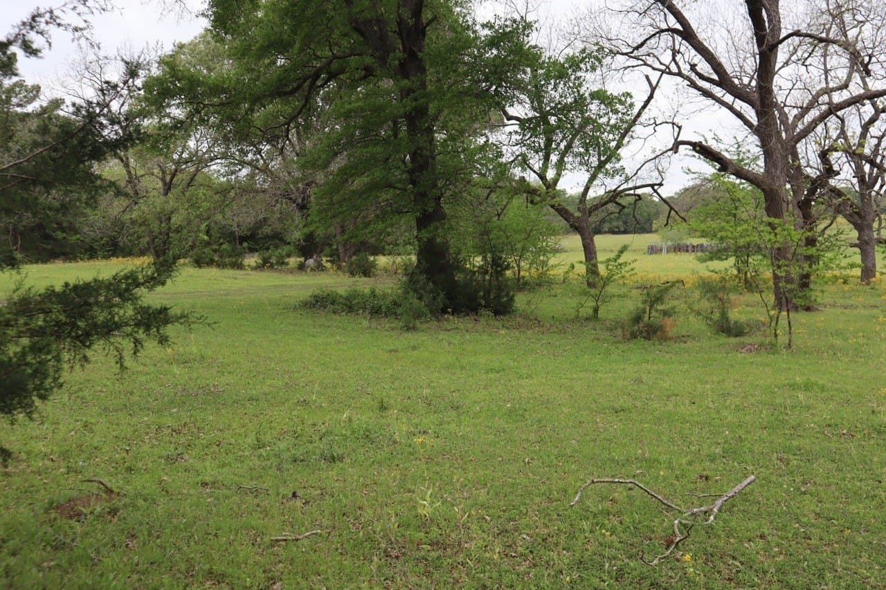 29.31 acres in Rains County - photo 7