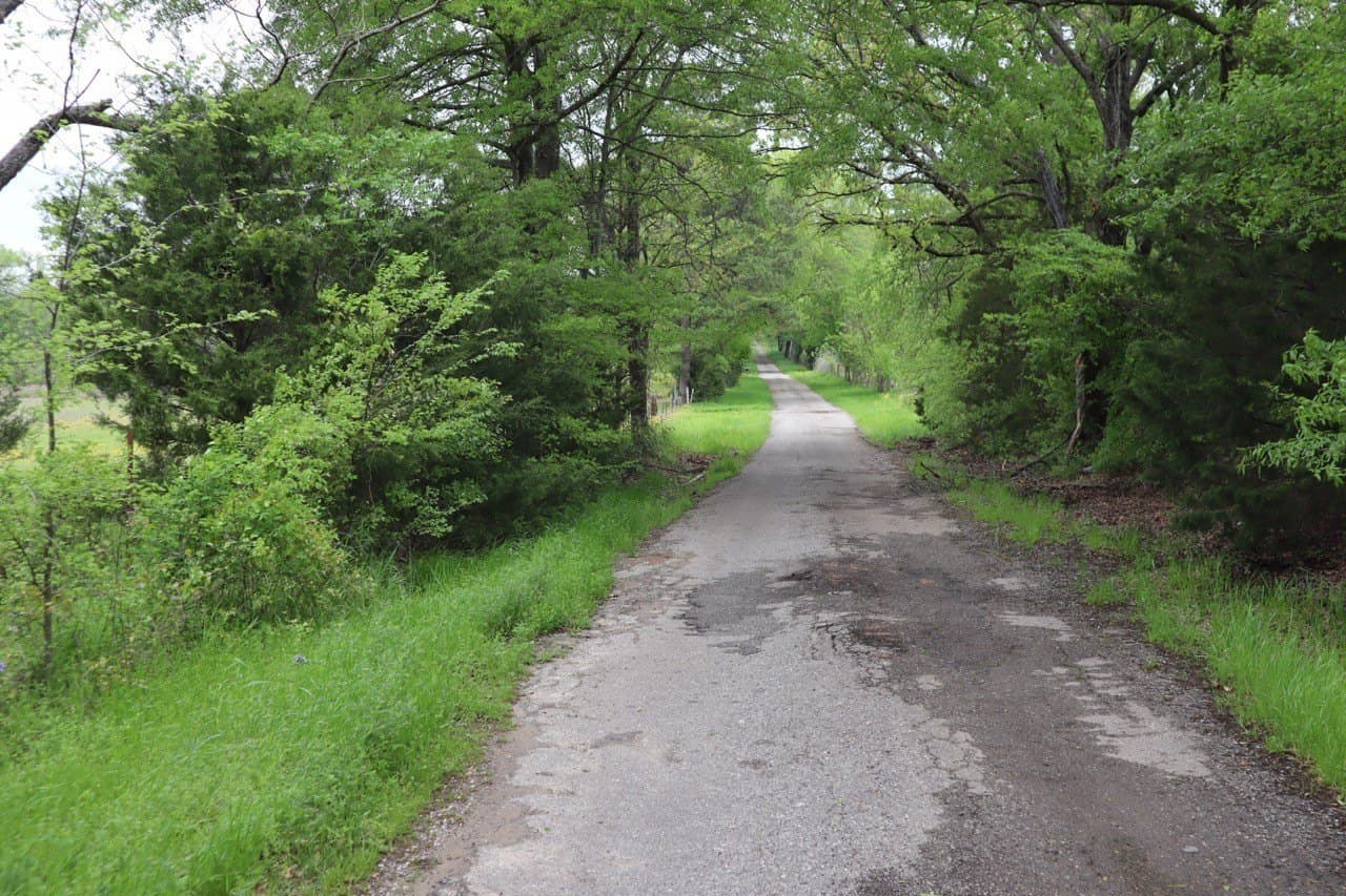 29.31 acres in Rains County - photo 4