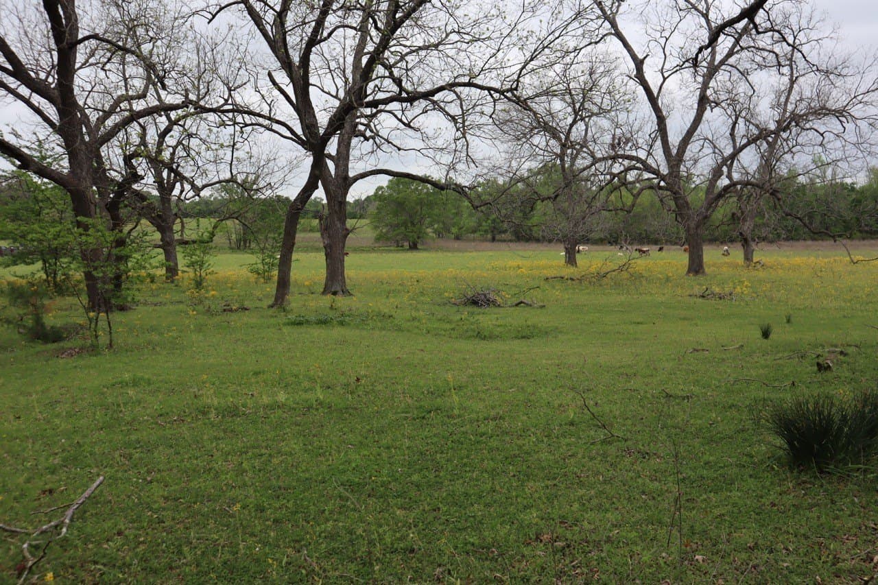 29.31 acres in Rains County - photo 6