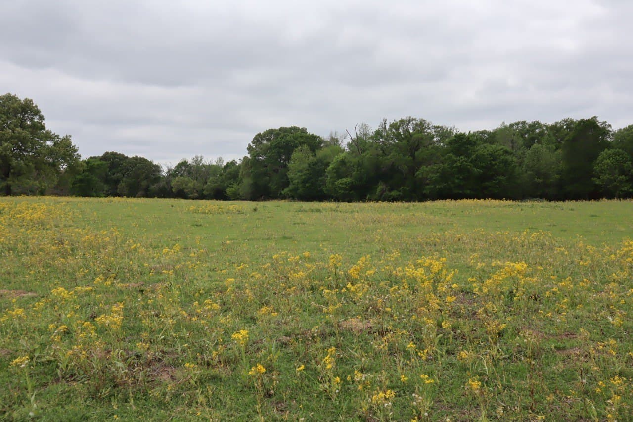 29.31 acres in Rains County - photo 20