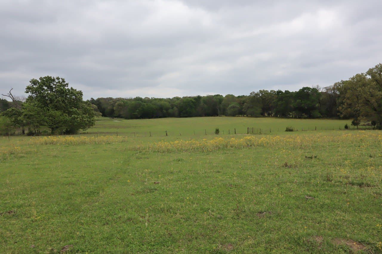 29.31 acres in Rains County - photo 14