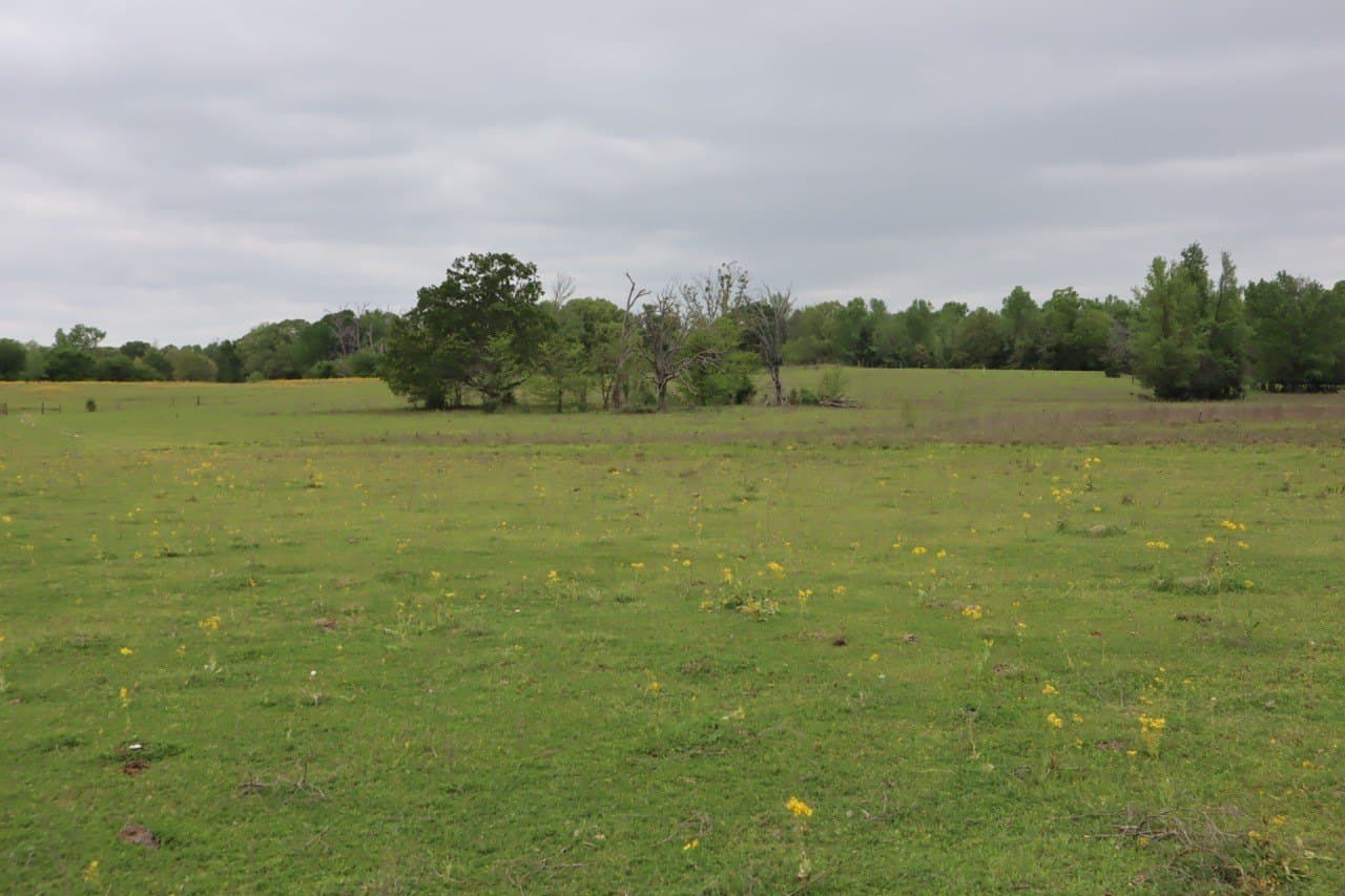 29.31 acres in Rains County - photo 15