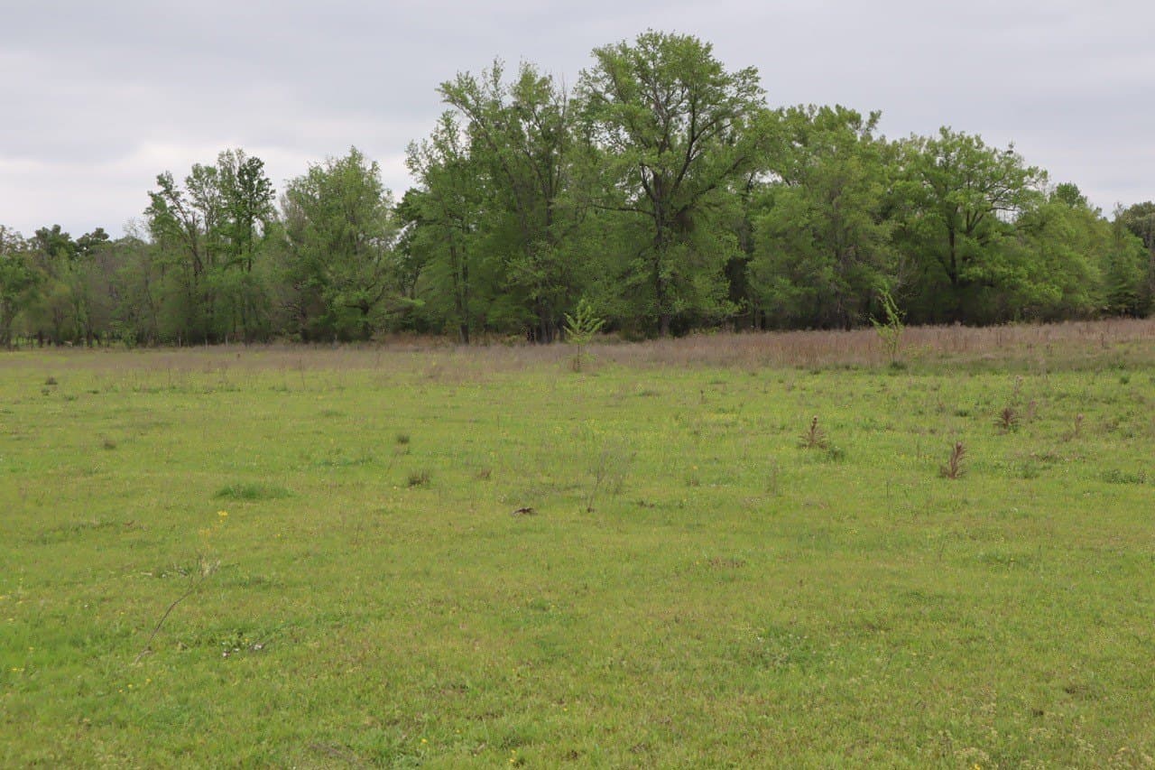 29.31 acres in Rains County - photo 17